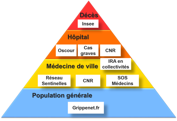 système de surveillance de la grippe